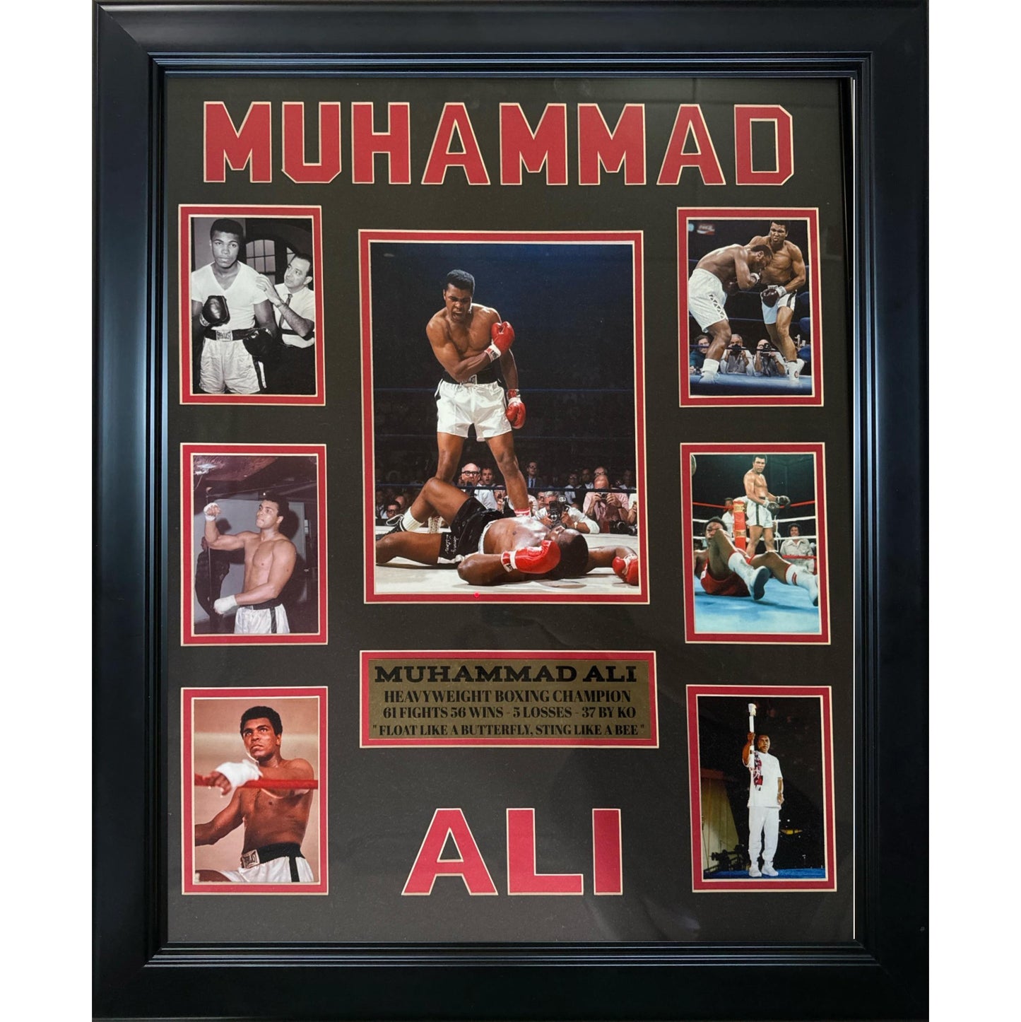 Professional Boxer Muhammad